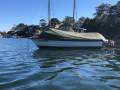 Milligan Nipper Yamaha 60hp 4 Stroke Trailer? Delivery? (Sydney)