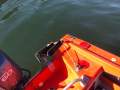 Milligan Nipper Yamaha 60hp 4 Stroke Trailer? Delivery? (Sydney)