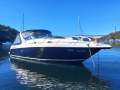 Mustang 3800 Sportcruiser