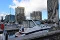 Mustang 2800 Sportscruiser