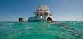 Scimitar 1010 Flybridge Catamaran in Commercial Survey