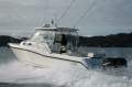 Boston Whaler 305 Conquest