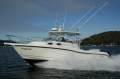 Boston Whaler 305 Conquest