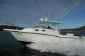 Boston Whaler 305 Conquest