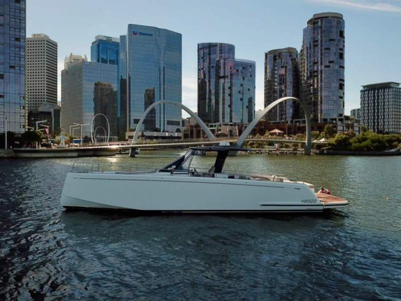 Pardo 43