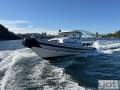 Protector 8.50 Cabin