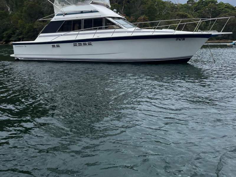 Dominator 36 Flybridge