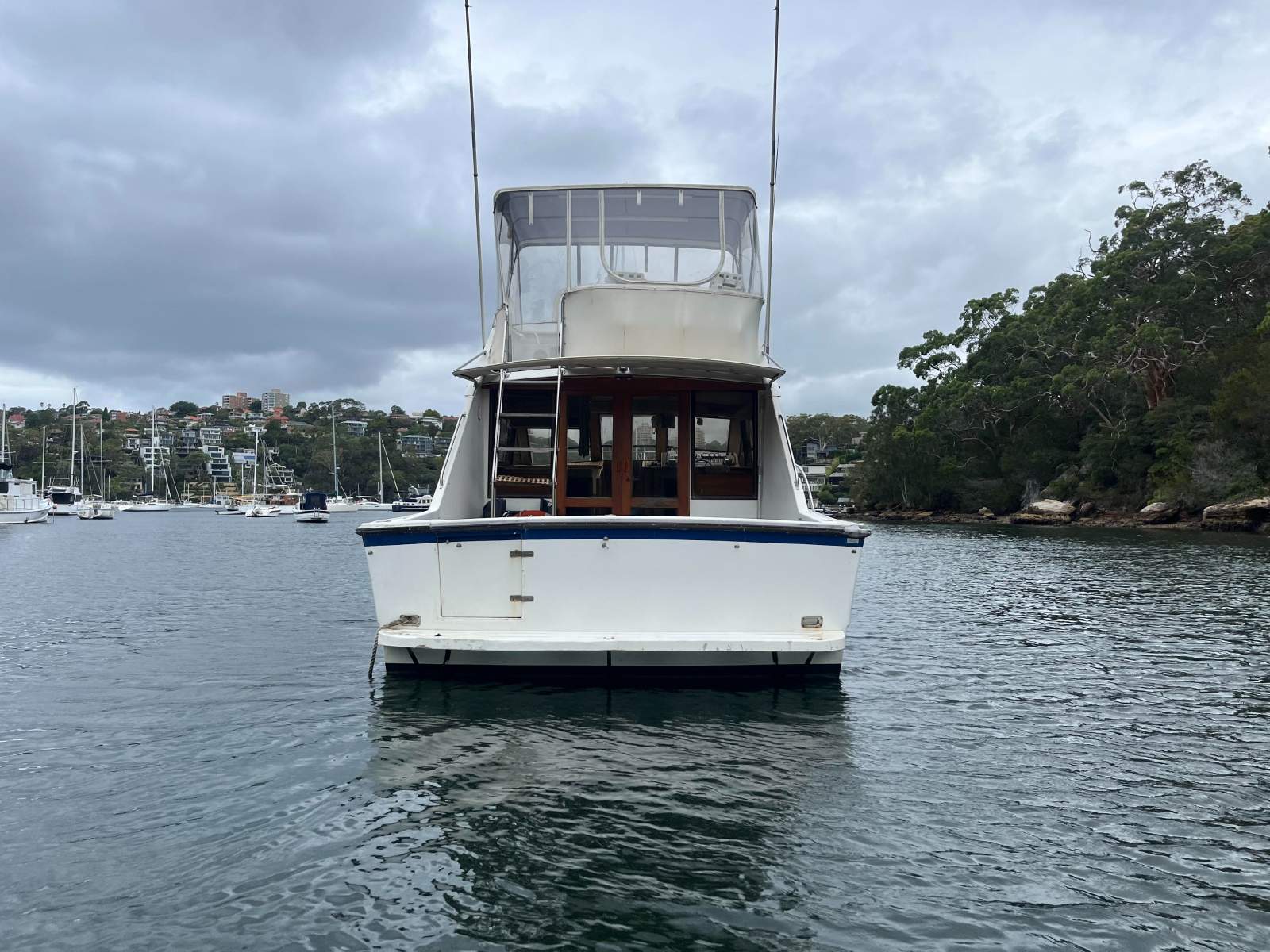 Dominator 36 Flybridge