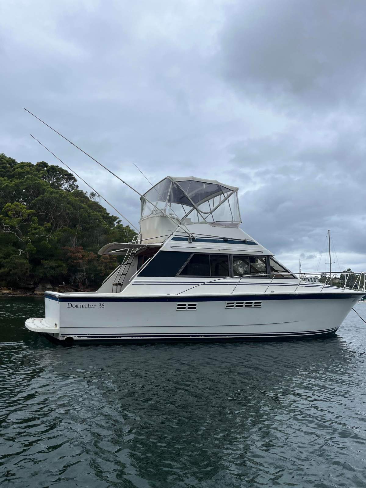 Dominator 36 Flybridge