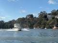 Dominator 36 Flybridge