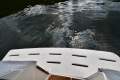 Riviera 34 Platinum Flybridge:1998 Riviera 34 Platinum Flybridge 2 For Sale