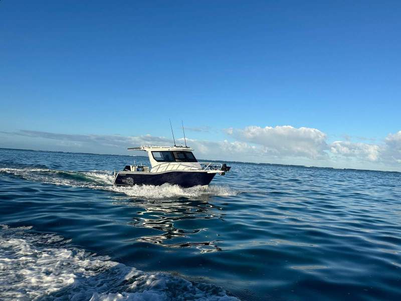 Genesis 780XL Islander