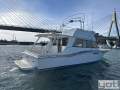 Flybridge Cruiser