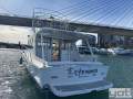 Flybridge Cruiser