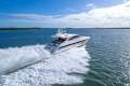 Mangusta 80