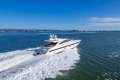 Mangusta 80