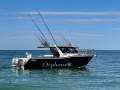Abcat Sports Fisherman 8 Meter