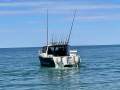 Abcat Sports Fisherman 8 Meter