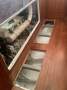 Custom Van de Stadt/Roberts Bluewater Sailing