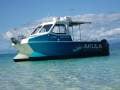 Marlin Broadbill Cpiercer Pelagian 7.2