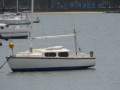 Vivacity Castle Marine, 6m long, bilge keel:At mooring