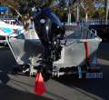 Stacer 399 Proline