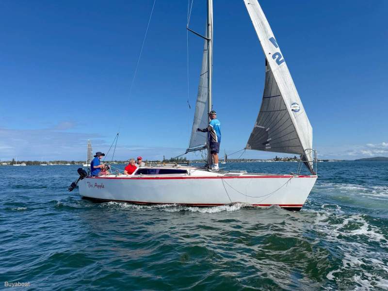 Adams 8