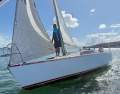Adams 8