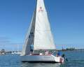 Adams 8