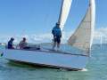 Adams 8