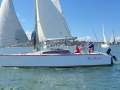 Adams 8