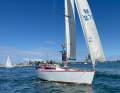 Adams 8