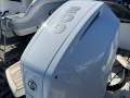 Flipper 700 DC