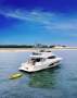 Riviera 46 Sports Motor Yacht