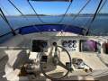 Caribbean 35 Flybridge Cruiser Mk II