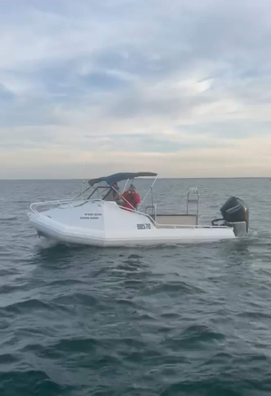 Ocean hawk