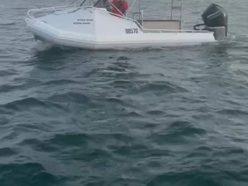 Ocean hawk