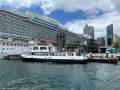 Millkraft 30 M Charter Cruiser