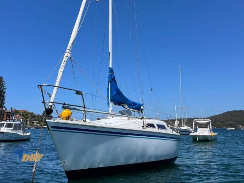 Northshore 27