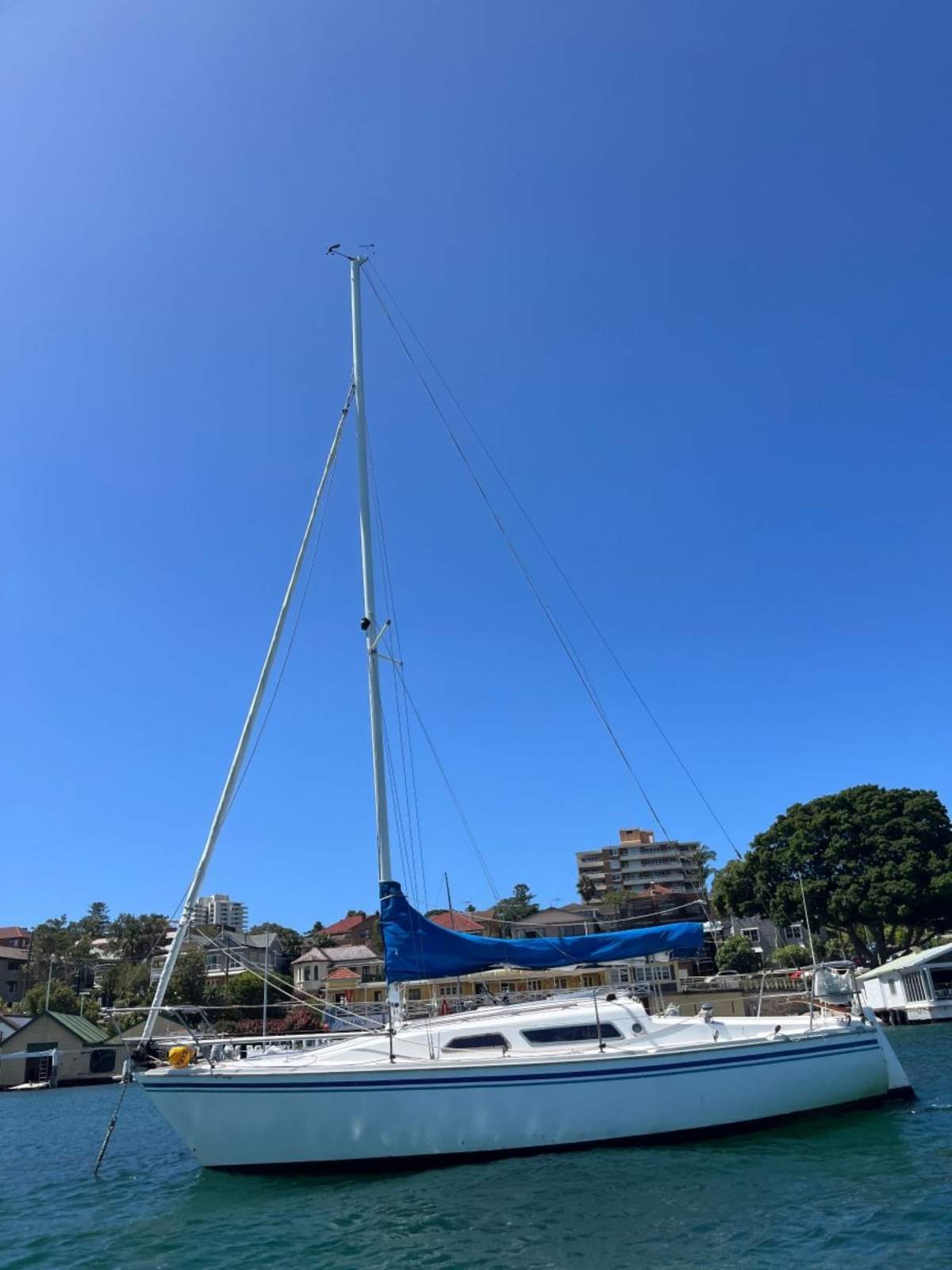 Northshore 27