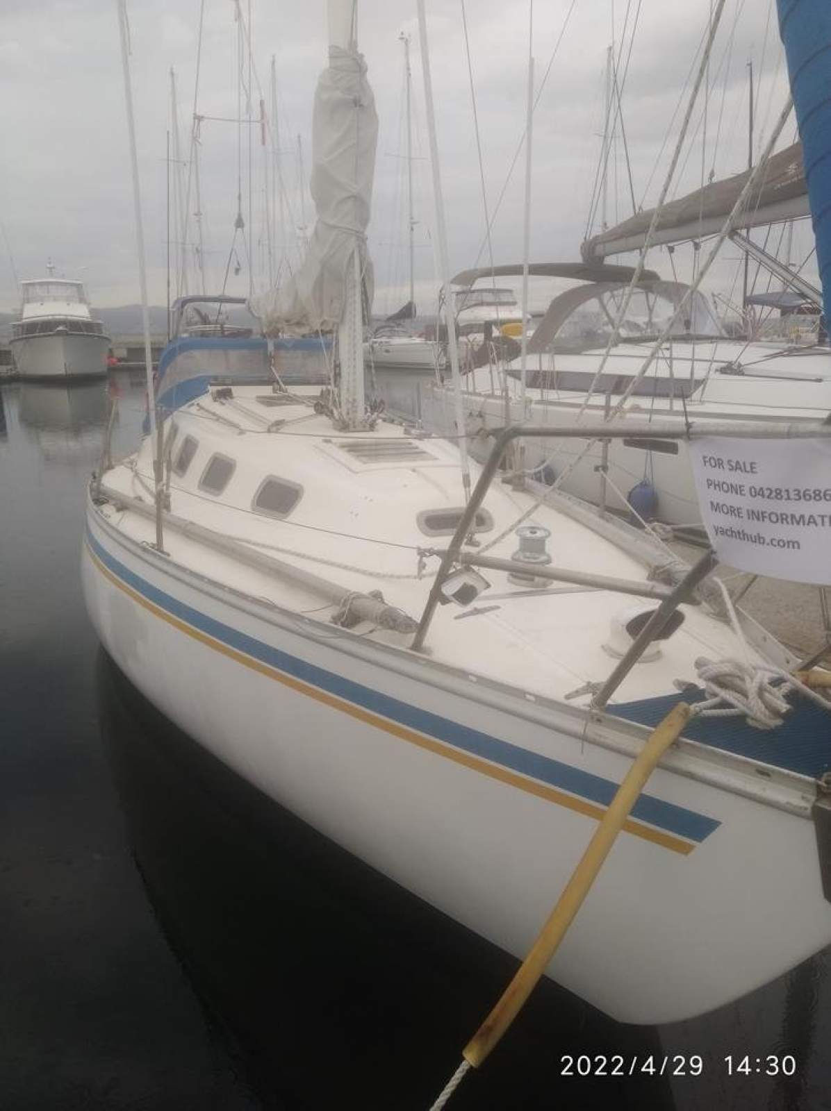 Doven 30