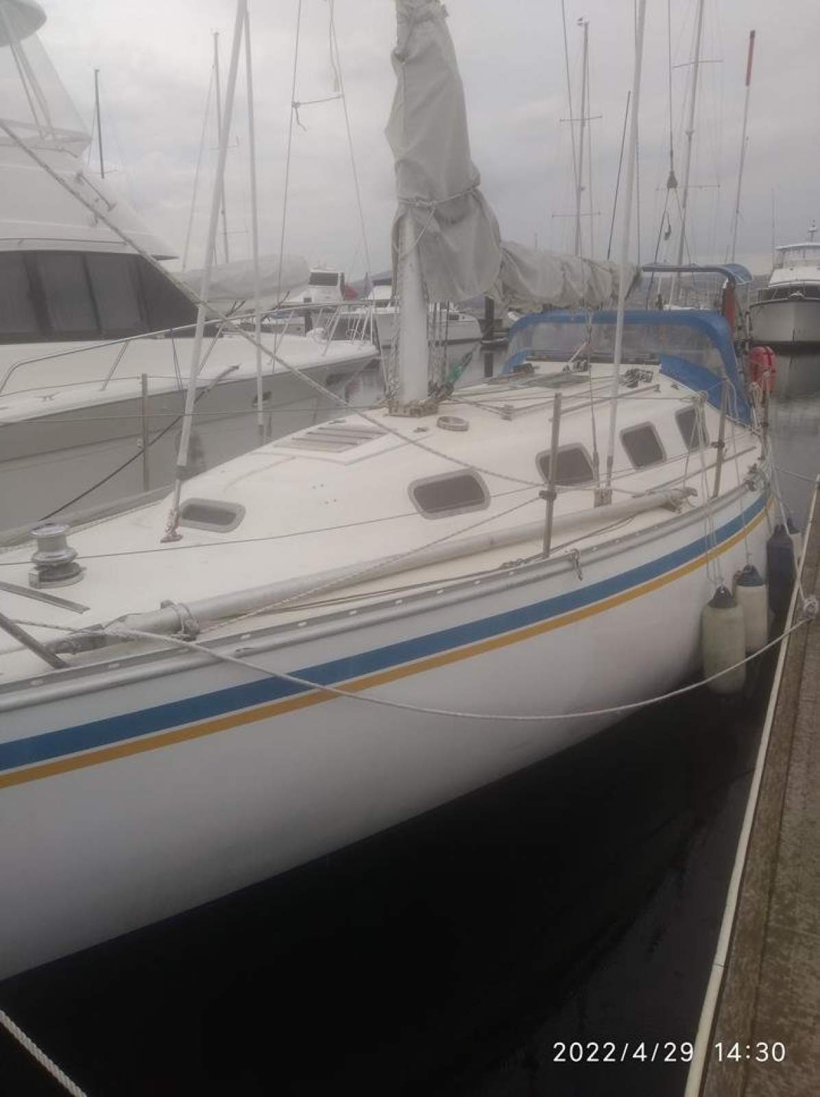 Doven 30