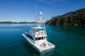 Viking 55 Convertible