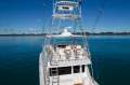 Viking 55 Convertible