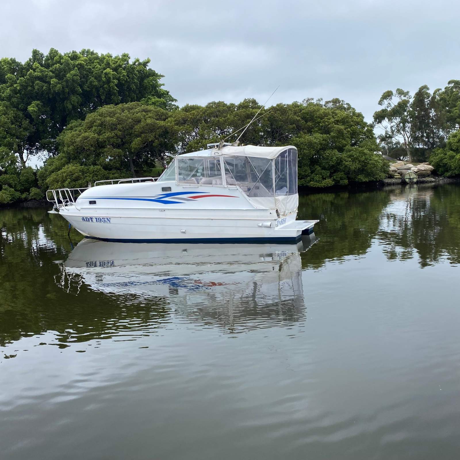 Bayliner