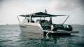 Tesoro T38 Power Cat