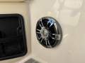 Regal 29 OBX