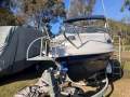 Freedom 6.40 Sports Cuddy Allrounder - SeaSport