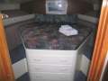 Vindex 470