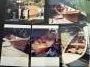 Dory timber trailer sailer